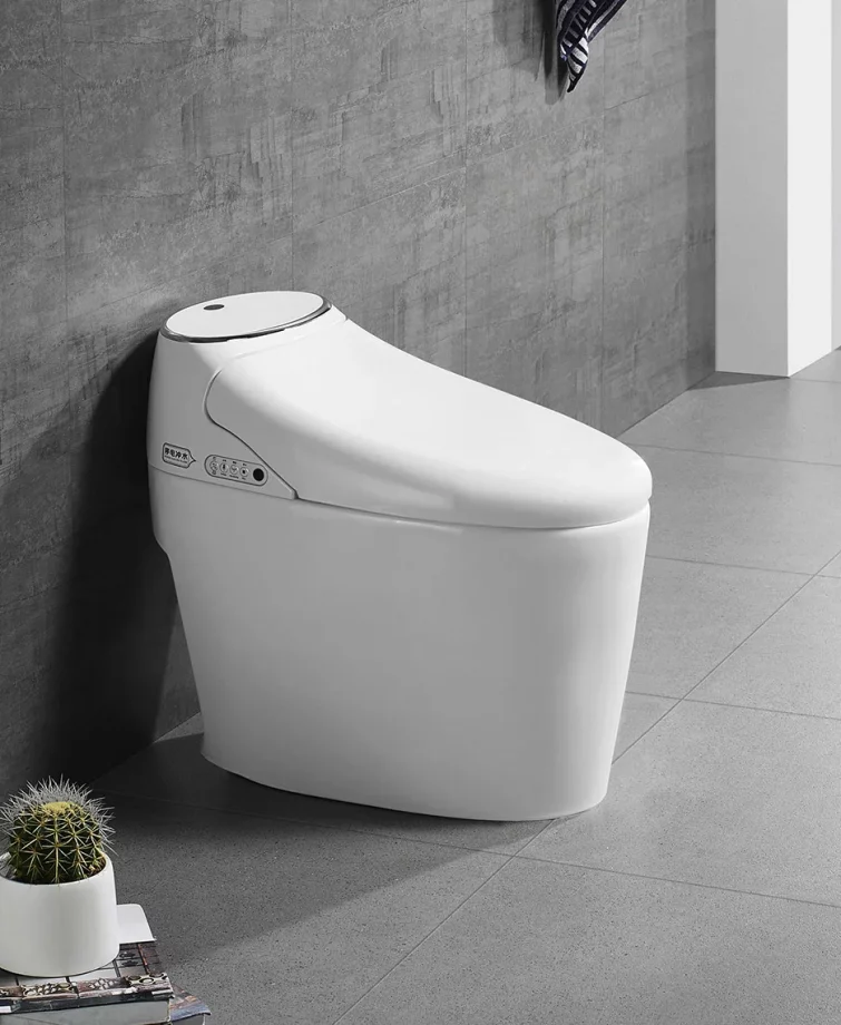 WC japonais au sol Sensation de Saniclean